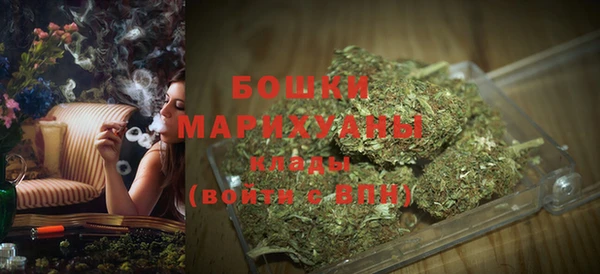 сатива Арсеньев