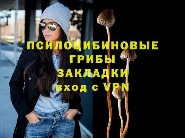 спиды Аркадак
