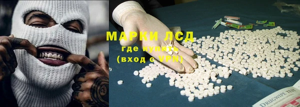 спиды Аркадак