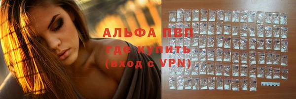 спиды Аркадак