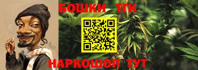 тгк Славянск-на-Кубани