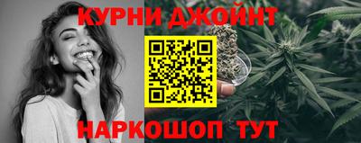 сатива Сланцы