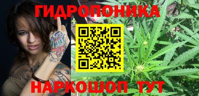 spice Славгород