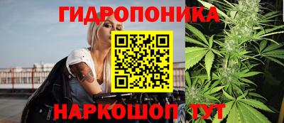 тгк Славянск-на-Кубани