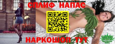 spice Славгород