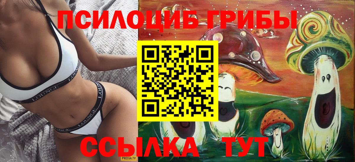 Галлюциногенные грибы Psilocybe Пенза