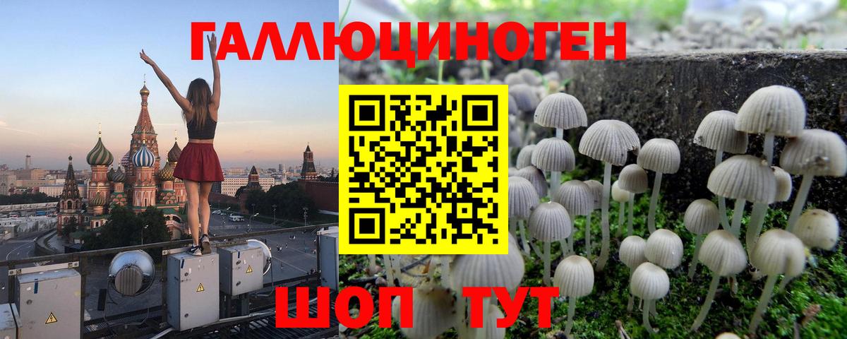 Пенза  Галлюциногенные грибы ЛСД  Галлюциногенные грибы Psilocybe  Вход с VPN 